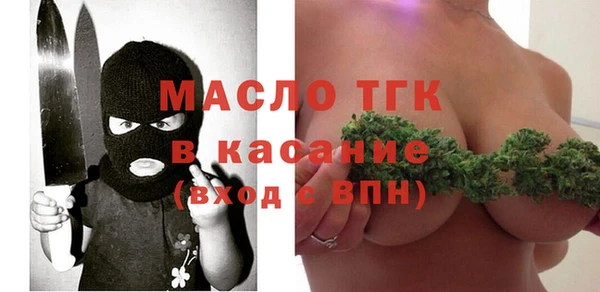 гашик Алексеевка