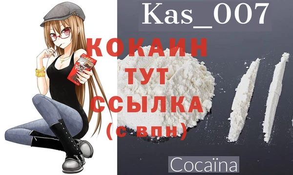 твердый Алексин