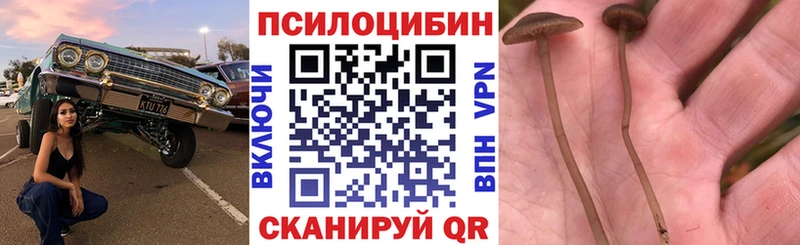 Купить  Усть-Кут  Псилоцибиновые грибы прущие грибы 